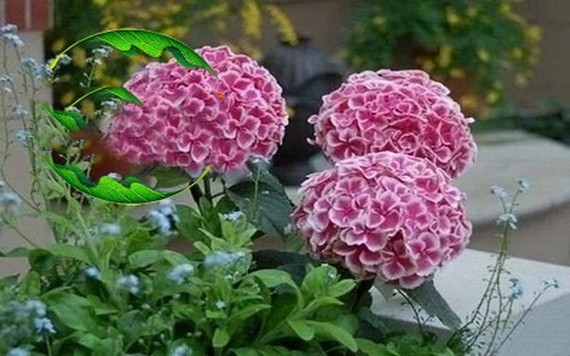 （示意圖源：互聯網）