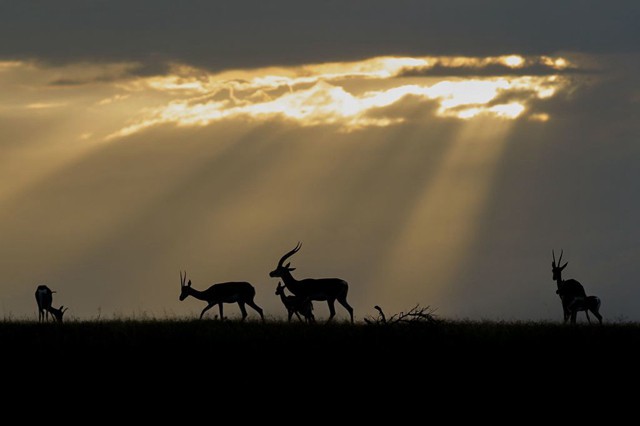 世界九大火車線 沿途風景皆是“明信片”（下） ảnh 2