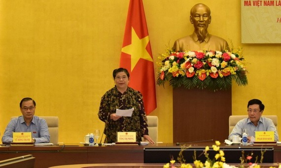 黨中央政治局委員、國會常務副主席、監察團團長從氏放（中）主持會議。（圖源：VGP）