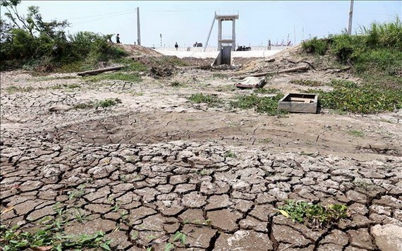 植樹造林有助於防止土地沙漠化。
