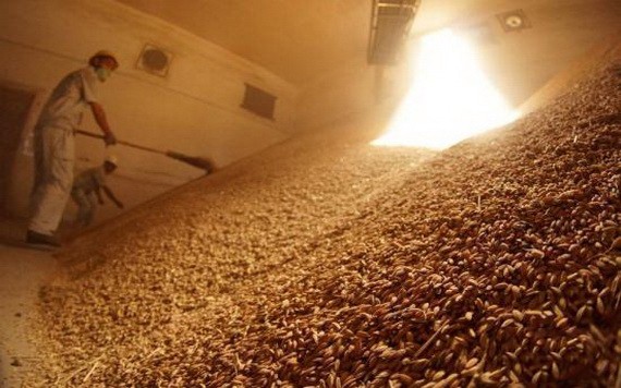 稻穀堆滿糧倉。（示意圖源：互聯網）