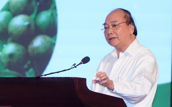 政府總理阮春福出席會議並發表指導意見。（圖源：光孝）