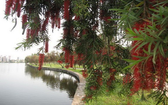 （示意圖源：互聯網） 