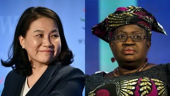 由於第三輪磋商的兩名候選人都是女性，世貿組織成立25年來將首次迎來女總幹事。（圖源：互聯網）