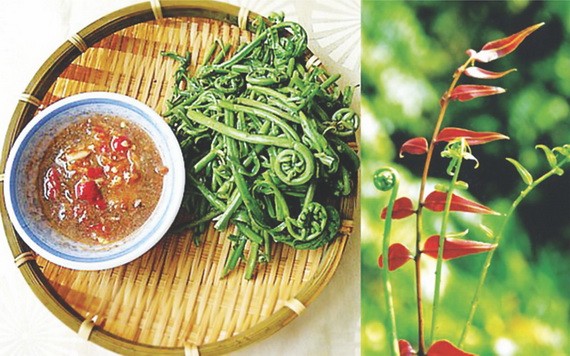 （示意圖源：互聯網） 