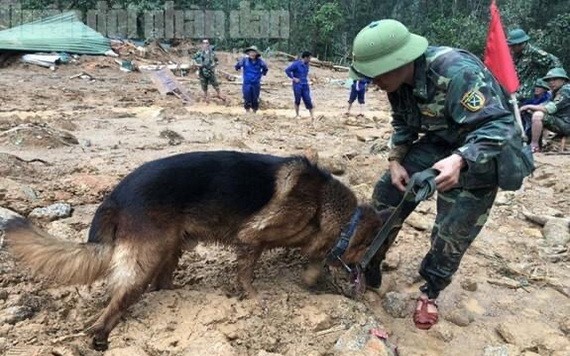 救援力量帶著警犬在滑坡現場進行搜救工作。（圖源：H.N）