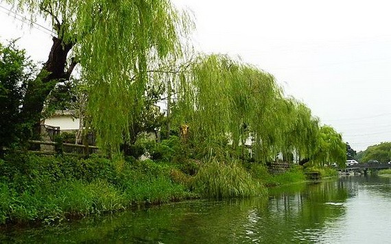 （示意圖源：互聯網） 