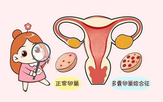 （示意圖源：互聯網） 