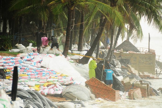 會安市軍民用沙包堆積加固海岸。（圖源：蔡霸勇）