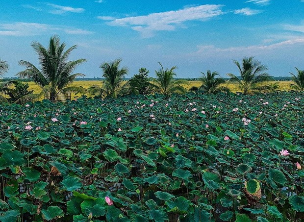 別錯過南部西區水漲季節６個景點 ảnh 3