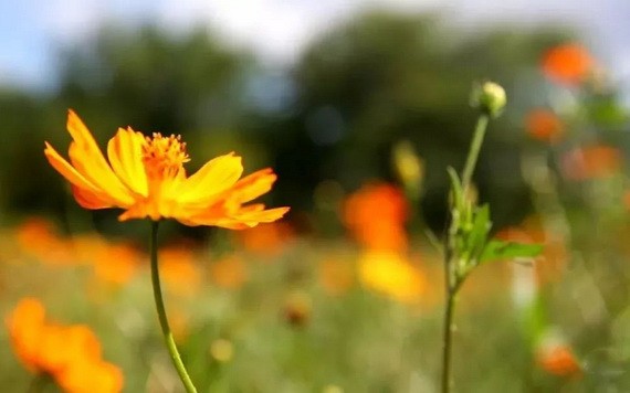 （示意圖源：互聯網） 