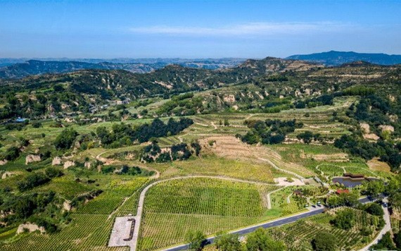 （示意圖源：互聯網） 