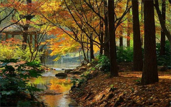 （示意圖源：互聯網） 