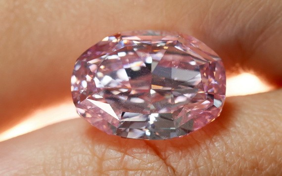 天價的“玫瑰之魂”。（圖源：路透社）