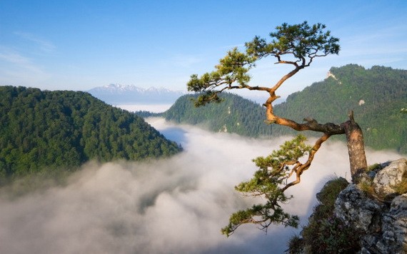 （示意圖源：互聯網） 