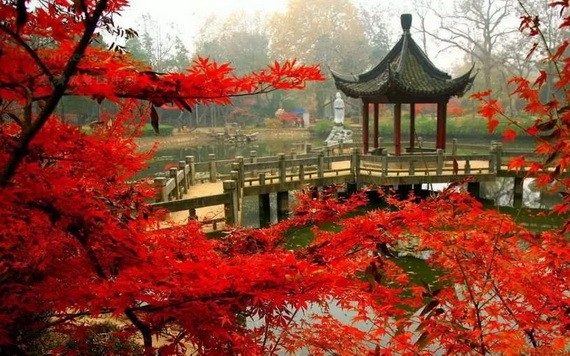 （示意圖源：互聯網） 