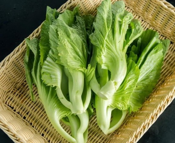 （示意圖源：互聯網） 