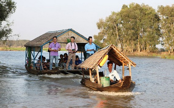 遊客觀光同塔省的禽鳥白千層國家公園。