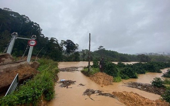 事發地點。（圖源：碧蓮）