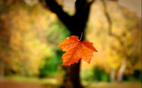 （示意圖源：互聯網） 