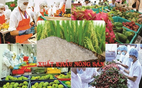 （示意圖源：互聯網） 