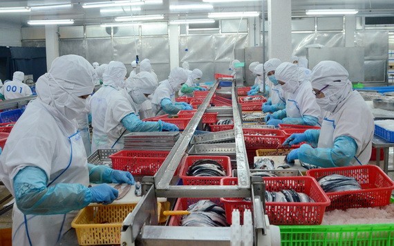 協定生效對出口英國水產帶來更多優惠。（圖源：雙平）