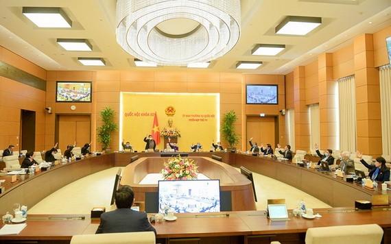 國會常務委員會第51次會議場景。（圖源：寶燕）