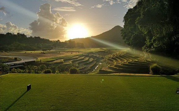 Laguna度假村種植稻穀在收成後撥出部分贈予清貧戶。（圖源：互聯網）