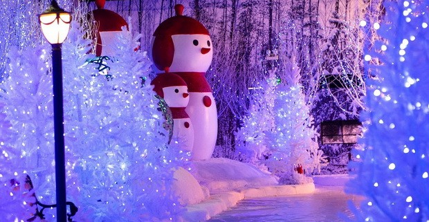 到西貢盡情玩「雪」其樂融融 ảnh 2