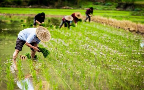 （示意圖源：互聯網） 