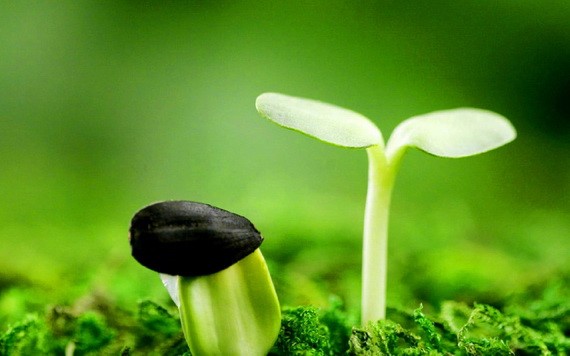 （示意圖源：互聯網） 