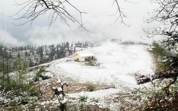 北部迎來寒潮，高山出現白雪皚皚。（圖源：TL）