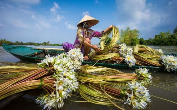 （示意圖源：互聯網） 