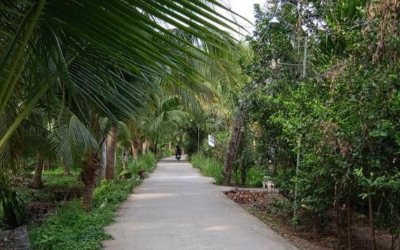 事發地點。（圖源：VOV）