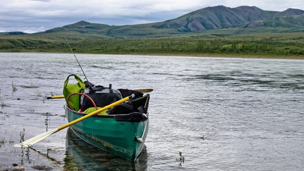 美國阿拉斯加州費爾班克斯：探索迪納利以及其他國家公園和保護區 ảnh 1