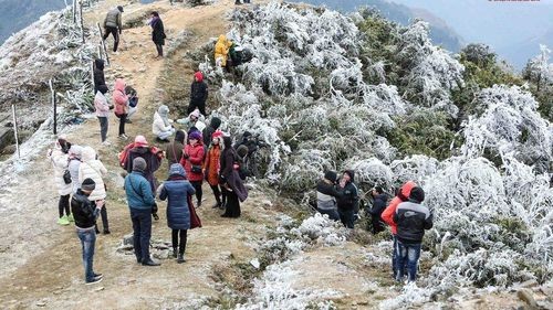 遊客湧上牡山賞雪致交通堵塞 ảnh 1