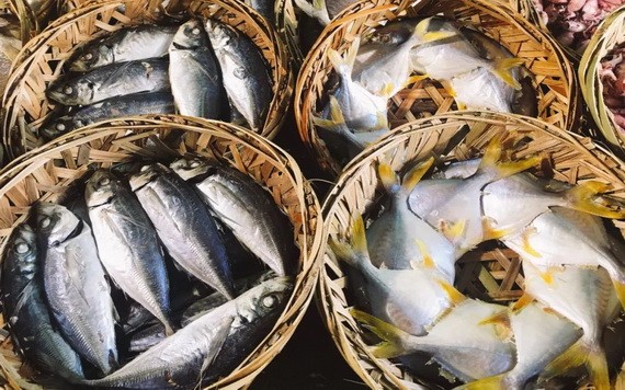 （示意圖源：互聯網） 