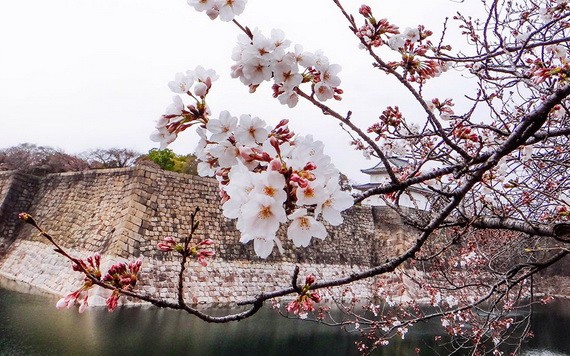 （示意圖源：互聯網） 