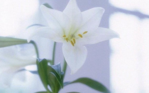 （示意圖源：互聯網） 