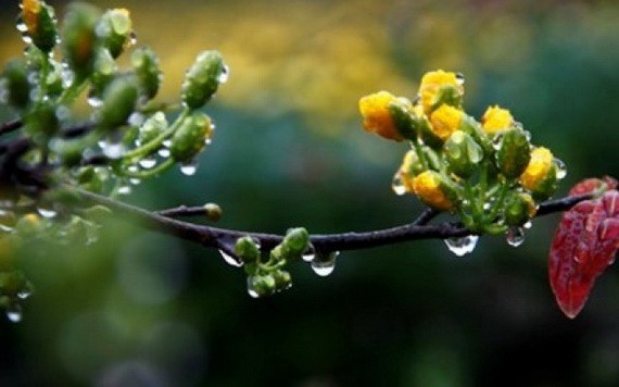 （示意圖源：互聯網） 