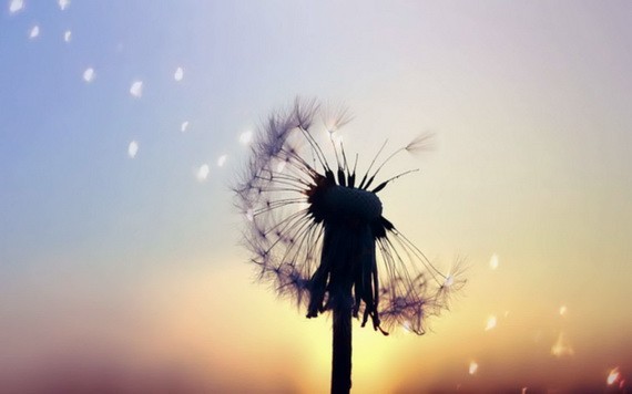 （示意圖源：互聯網） 