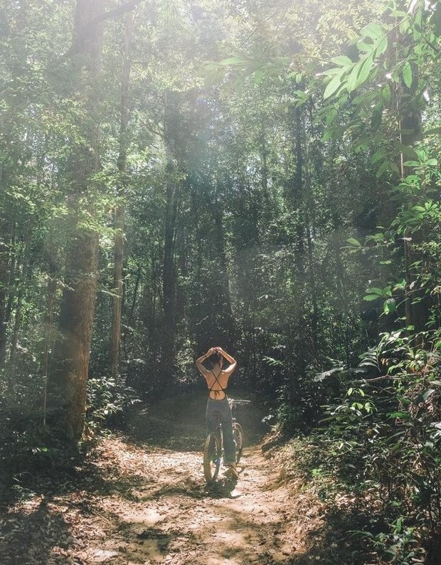 從北至南的４條春遊路線 ảnh 3