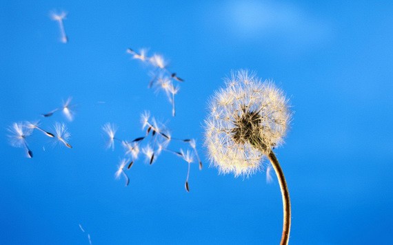 （示意圖源：互聯網） 