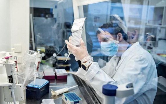 丹麥奧爾堡大學研究人員上月分析了新冠病毒樣本中的B.1.1.7變異。（圖源：《紐約時報》）