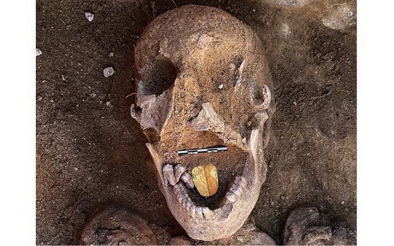 （圖源：互聯網） 