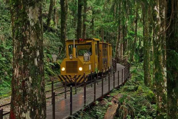 台灣太平山 森林遊樂園尋幽探密 ảnh 1