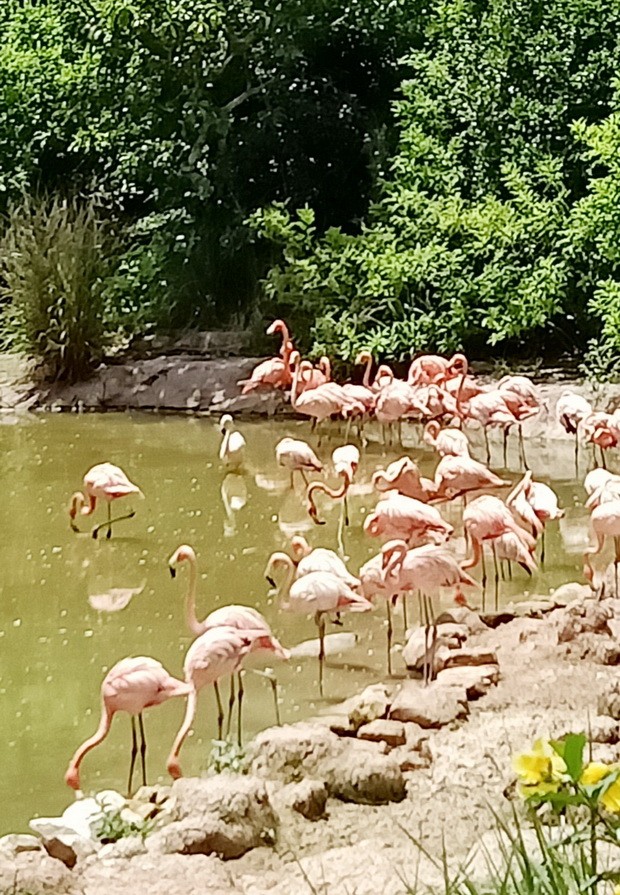 不一般的 “野性”之旅 ảnh 3
