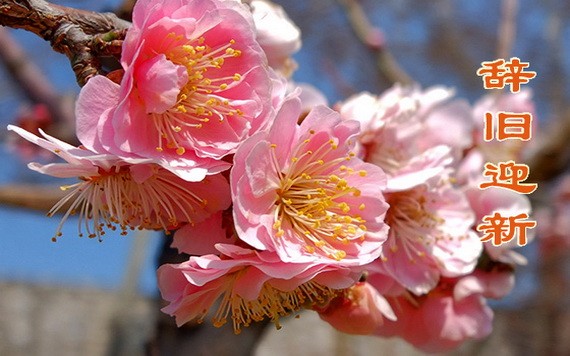 （示意圖源：互聯網） 