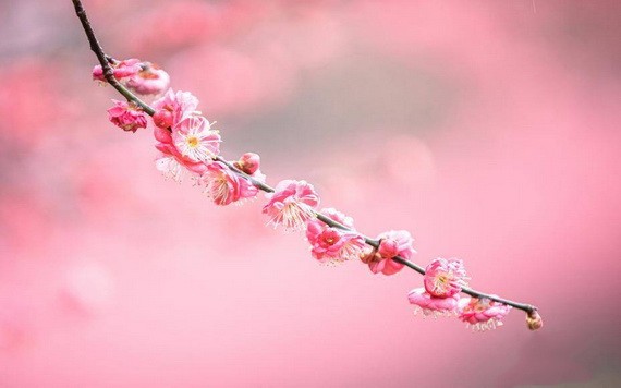 （示意圖源：互聯網） 