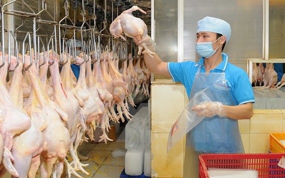 （示意圖源：互聯網） 